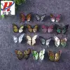 Silver foil butterfly, gold foil butterfly fridge magnets, three-dimensional butterfly fridge magnets, magnetic butterfly decorative stickers Application Scenario